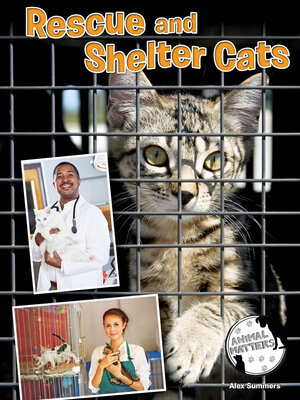 cover image of Rescue and Shelter Cats